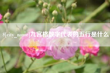 绍兴九宫格数字代表的五行是什么
