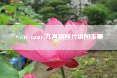 绍兴九宫格图片组图唯美