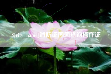 绍兴消防证国网查询操作证