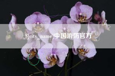 绍兴中国消防官方