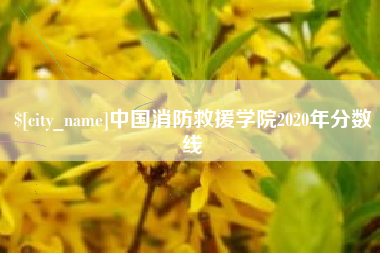 绍兴中国消防救援学院2020年分数线