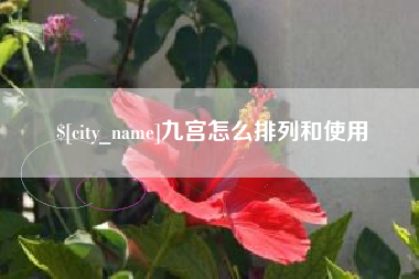绍兴九宫怎么排列和使用
