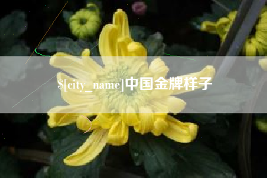 绍兴中国金牌样子