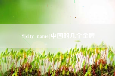 绍兴中国的几个金牌