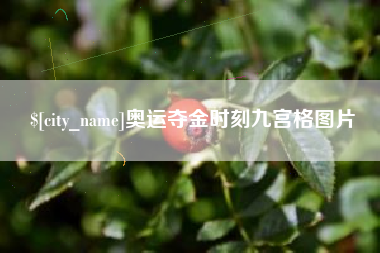 绍兴奥运夺金时刻九宫格图片