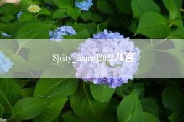 绍兴2022九宫