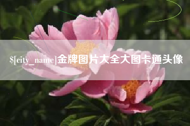 绍兴金牌图片大全大图卡通头像