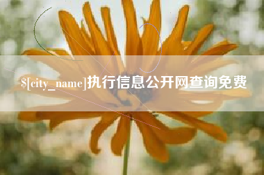 绍兴执行信息公开网查询免费