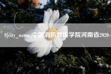 绍兴中国消防救援学院河南省2020
